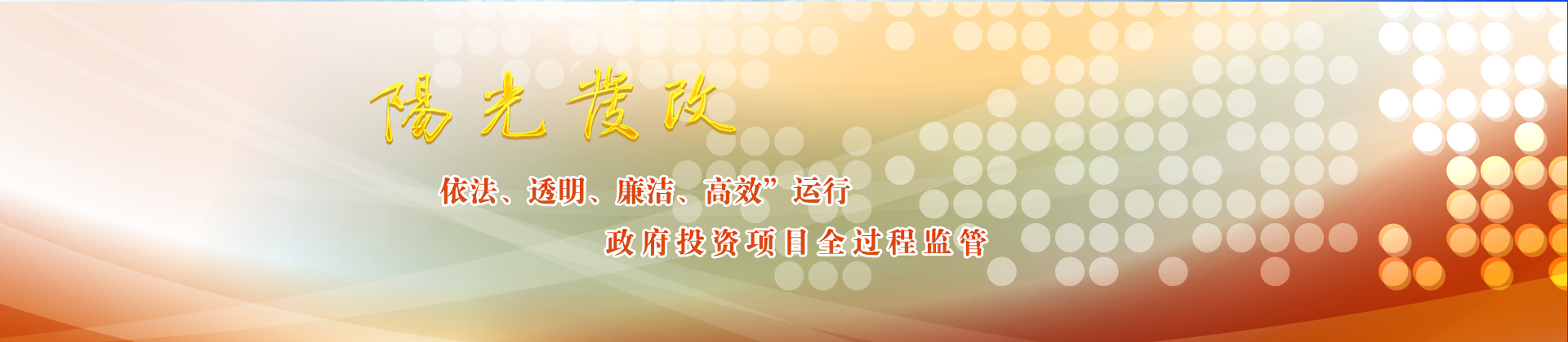 國(guó)內(nèi)領(lǐng)先的陽(yáng)光政務(wù)平臺(tái)及信息技術(shù)服務(wù)提供商